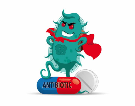 conso antibiotiques