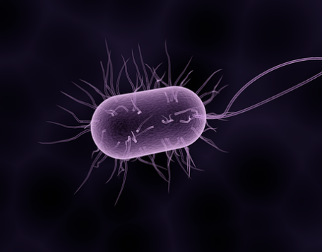bacteria 1832824 640