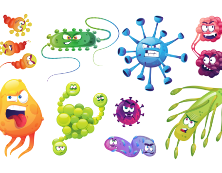 bacteria virus 2