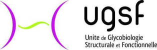 ugsf lille